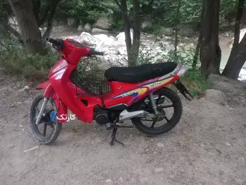 بی کلاج دلفین‏، 125‏