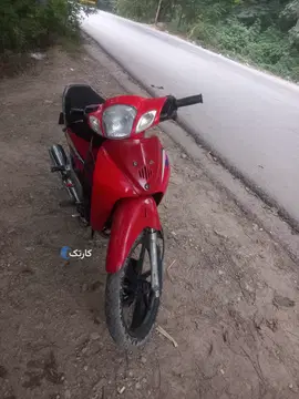 بی کلاج دلفین‏، 125‏ - تصویر 2