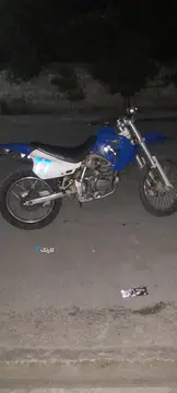 تریل جی وای