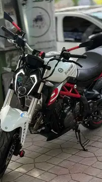بنلی‏، 249R‏ - تصویر 3