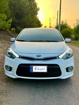 کیا‏، سراتو کوپ‏ - تصویر 2