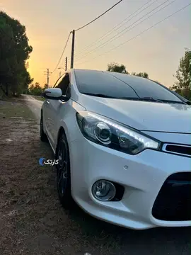 کیا‏، سراتو کوپ‏ - تصویر 5