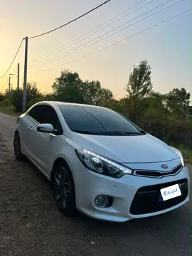 کیا‏، سراتو کوپ‏ - تصویر 4