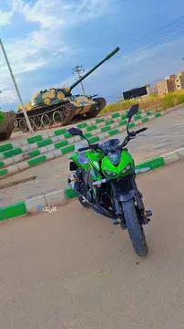 های پرو 250‏ z1000طرح - تصویر 2