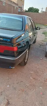 اردی بنزینی - تصویر 4