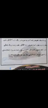 پراید‏، صندوق دار‏ - تصویر 4
