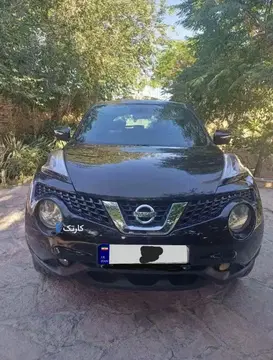 نیسان‏، جوک‏، پلاتینیوم‏ - تصویر 1