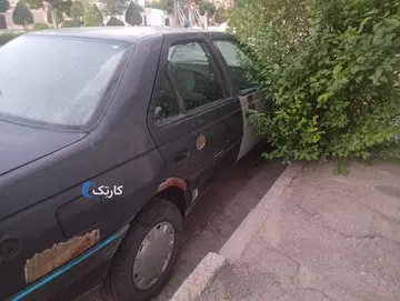 پژو‏، روآ‏، ساده‏ - تصویر 2