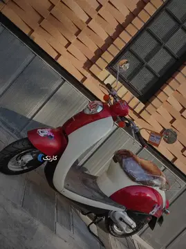 هوندا‏، اسکوپی‏