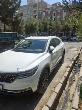 دیگنیتی‏، پرایم‏ - تصویر 3