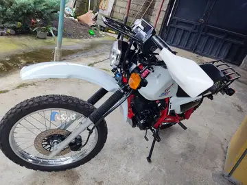 ایکسل 250cc نیکتاز - تصویر 3