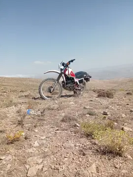 هوندا‏، XLR 250‏ - تصویر 2