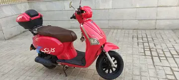 متین خودرو‏، ساوین S150‏، طرح وسپا، پاکشتی - تصویر 2