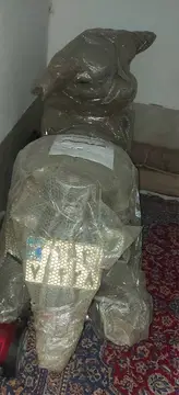سالار گستر‏، مهران‏ - تصویر 2