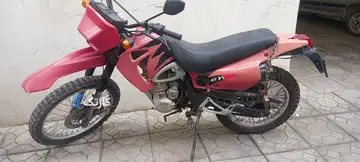 تریل جی وای ۲۰۰ عروسک‏ - تصویر 3