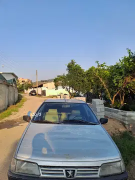 پژو‏، 405‏، GLX بنزینی‏ - تصویر 4