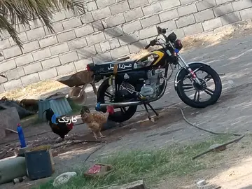 هوندا‏، CD 200‏ - تصویر 2
