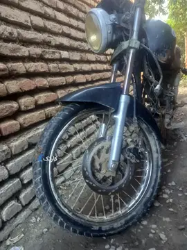 آمیکو‏، گلسار‏ - تصویر 2