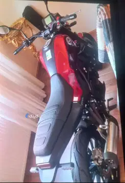 بنلی‏، لئون چینو 249‏ - تصویر 4