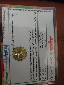 چری‏، تیگو 5‏، IE‏ - تصویر 3