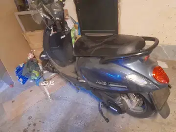 اس وای ام‏، فیدل کلاسیک‏