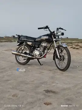 200مزایده وحشی - تصویر 1