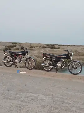 200مزایده وحشی - تصویر 2