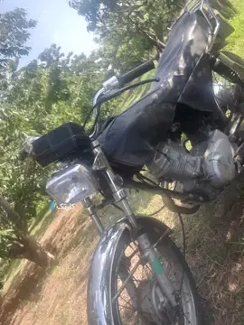 هوندا‏، CDI 125‏