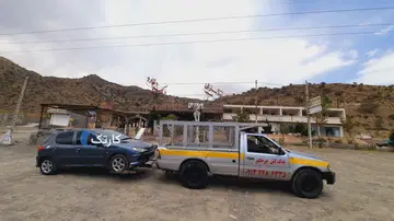 زامیاد‏، شوکا‏ - تصویر 3