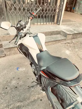 بنلی‏، TNT 180S‏ - تصویر 4