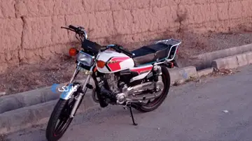 توسن محركه شرق‏، باسل 200‏ - تصویر 3