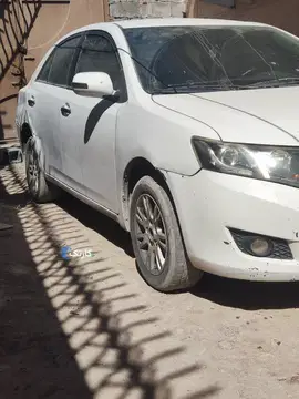 زوتی‏، آریو‏ - تصویر 3