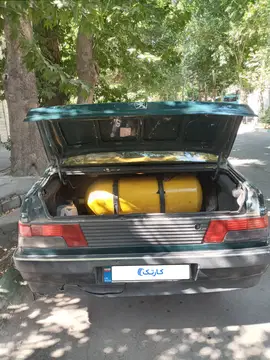 پژواردی‌دوگانه‌دستی - تصویر 4