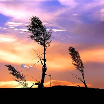 هوندا‏، CDI 125‏