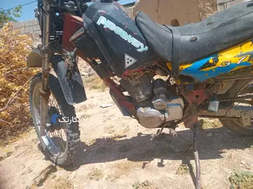 شیرو ۱۵۰ سال ۷۷ - تصویر 3