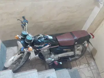 تیزپر توس‏، 200‏ - تصویر 1