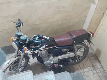 تیزپر توس‏، 200‏ - تصویر 3