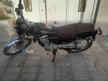 تیزپر توس‏، 200‏ - تصویر 2