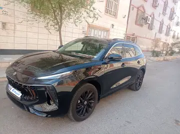 لاماری‏، ایما‏