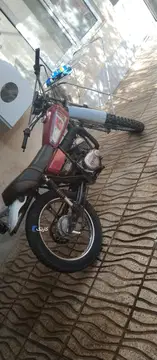 یاماها‏، اندرو - تصویر 2