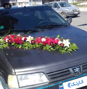 پژو‏، روآ‏، ساده‏