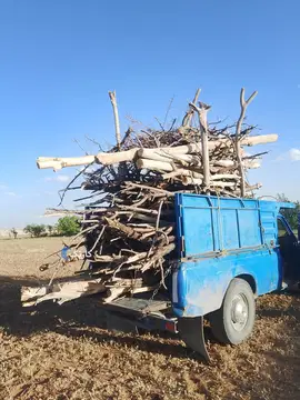 زامیاد‏، وانت نیسان‏، دوگانه سوز‏ - تصویر 3