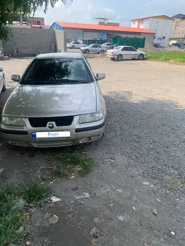سمند رنگ بژ - تصویر 3