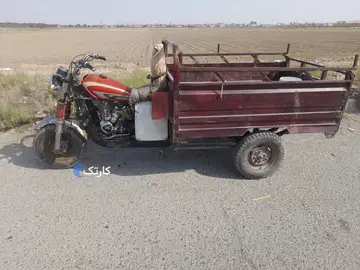 سه چرخ‏، باری‏