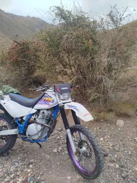 یاماها‏، TTR 250‏