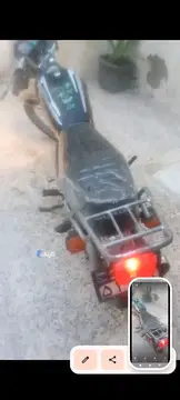 تیزپر توس‏، 125‏ - تصویر 3