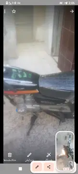 تیزپر توس‏، 125‏ - تصویر 1
