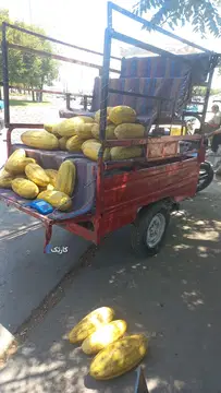 سه چرخ‏، باری‏ - تصویر 2