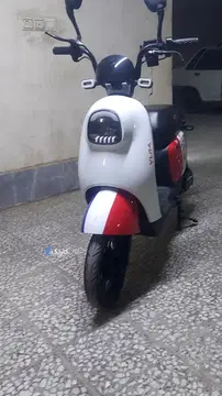 موتور برقی پاکشتی