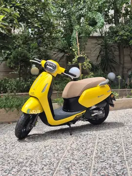 بنلی‏، پانارئا 125‏ - تصویر 3
